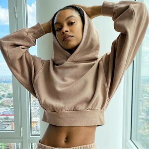 Aritzia TNA Taupe Cropped Hoodie